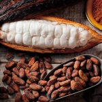 Пять способов как использовать масло какао в уходе за собой 17 Kakao maslo