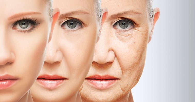 Human aging