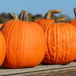 Тыква: польза и вред для организма человека 14 Pumpkin benefit and harm