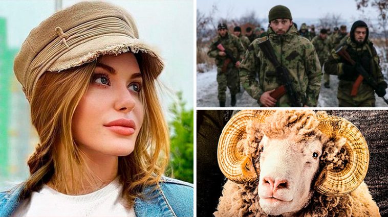 "Кадыровцы несут потери - ведутся на баранов с заминированными анусами!" - Слава Каминская 6 10 4