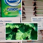 В России готовятся сеять лопухи - дефицит туалетной бумаги достиг пика 14 Квадрат 1