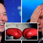 Илон Маск вызвал Путина на бой. На кону - Украина 13 Квадрат 2