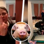 Россияне назвались украинцами и устроили в европейском отеле погром (ВИДЕО) 12 rasia vsy krasa