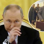 чемодан кейс фекалии