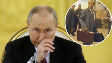 чемодан кейс фекалии