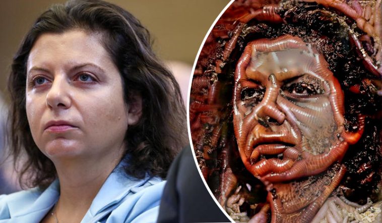 Как выглядит настоящее лицо пропаганды? Изображение Маргариты Симоньян из червей и личинок завирусилось в интернете 6 лицо черви личинки