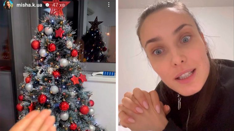 "Пинком под зад! Долбо*бы!" - Мишина яростно ответила на критику за красную звезду на ёлке и надпись "НГ" 6 New 2 7