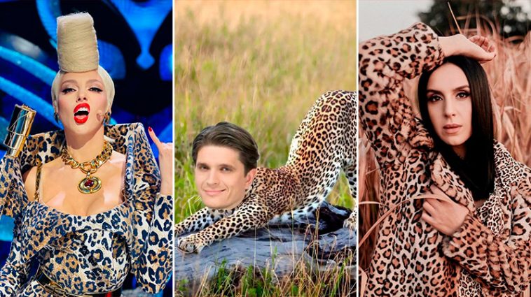 "Нам нужны Леопарды!" - Каменских, Полякова, Цыбульская и другие украинские знаменитости поддержали флешмоб с леопардовым принтом 6 5 5