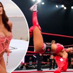 "Чертовски сексуальна!": бывшая звезда промоушной WWE Кэсси Ли поражает фантазию откровенными снимками 14