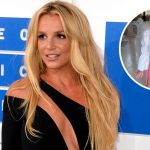 В стрингах из змеиной кожи и мини-топе: Бритни Спирс устроила горячие танцы у себя в гостиной 12 Maket Moldova 1650871362 64