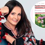 Оклеветали Софию Ротару: СМИ массово тиражируют, что Ротару отказалась выступить на фестивале в поддержку Украины 13 Maket Moldova 1650871362 46