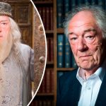 Умер легендарный актер Майкл Хэмбон, известный по роли Альбуса Дамблдора в фильмах о «Гарри Поттере» 18 Maket Moldova 1650871362 114