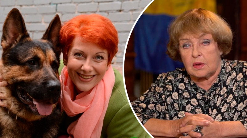 Maket Moldova 1650871362 17