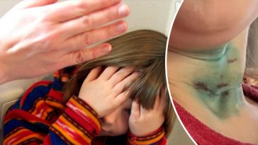 Maket Moldova 1650871362 74