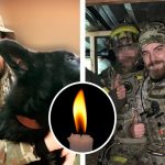 На фронте погиб белорусский доброволец с позывным «Борт», который освобождал Ирпень и Херсон 14 901 18