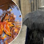 «Бабьего лета в Украине не будет»: синоптики ошеломили прогнозом на октябрь 14 жовтень