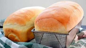 441881291 836092628558293 1242971115254370727 n