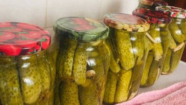 marinovannyie oghurtsy lieghko i vkusno