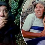 Спонсорство ВСУ: сына Юрия Никулина проверяют в РФ 16 kru 1