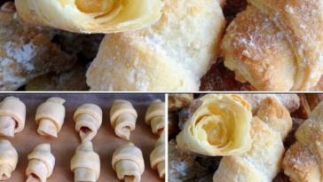 447297297 122118893870296075 5891338150545056729 n