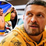 Александр Усик сменил прическу за два месяца до главного боя в карьере 14 krug 30
