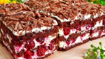 ya jogo znajshla nasmachnishyj litnij vyshnevyj tort yakyj ya yila