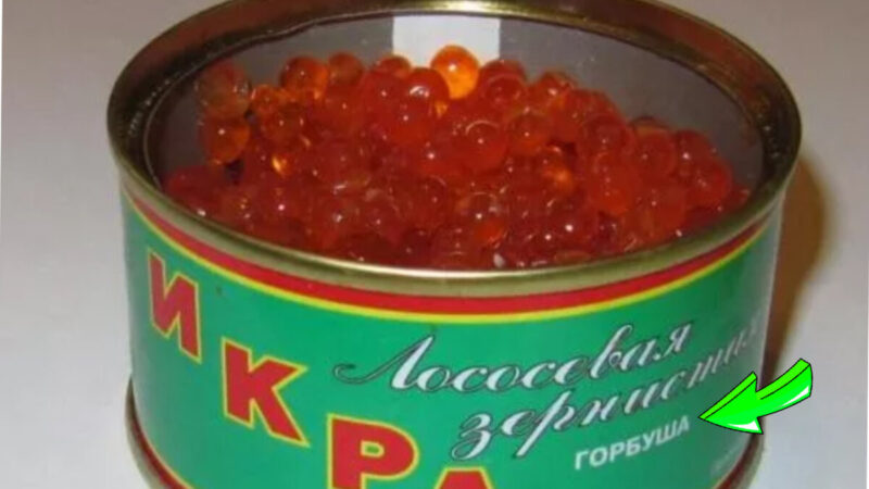 Как выбрать качественную красную икру: советы экспертов и хитрости, о которых умалчивают производители 1 Как выбрать качественную красную икру: советы экспертов и хитрости, о которых умалчивают производители