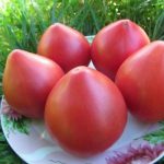 Секретный рецепт подкормки Томатов: мясистые, крупные и сладкие помидоры без химии 18 Секретный рецепт подкормки Томатов: мясистые, крупные и сладкие помидоры без химии
