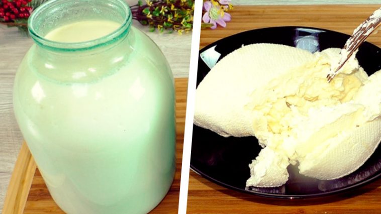 Простой рецепт домашнего творога в духовке: нежный, вкусный и натуральный