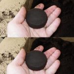 ☕ Кофейная гуща – не мусор, а настоящее сокровище! 14 ☕ Кофейная гуща – не мусор, а настоящее сокровище!