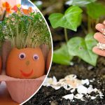 Не выбрасывайте яичную скорлупу! Узнайте 7 полезных способов использовать её в саду 16 Не выбрасывайте яичную скорлупу! Узнайте 7 полезных способов использовать её в саду