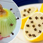 Откройте для себя мощные преимущества гвоздики, лимона и лука: естественная комбинация для здоровья и дома 16 Откройте для себя мощные преимущества гвоздики, лимона и лука: естественная комбинация для здоровья и дома