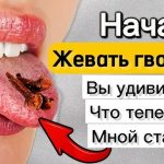 Жевание гвоздики каждый день: маленькая привычка с огромной пользой для здоровья 15 Жевание гвоздики каждый день: маленькая привычка с огромной пользой для здоровья