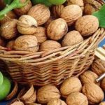 🌰 Как вырастить грецкий орех из ореха: пошаговая инструкция для начинающих 16 1744399995 453 scale 1200 1