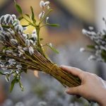 Вербное воскресенье 2025: что нельзя делать в святой день, чтобы не навлечь бед 15 Вербное воскресенье 2025: что нельзя делать в святой день, чтобы не навлечь бед