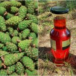 37521263ac866a2529cf6a1c52b8ae1a