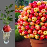 473726599 122140329812529980 4046998702142697858 n 4 e1740866446106