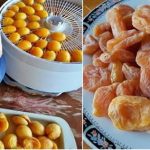 487990057 122201662604140090 4976270853236293767 n e1743939600117