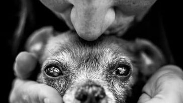 Тропинка надежды: повесть о Громе 8 490404625 9230388770421371 7602727389685006038 n e1744302243667