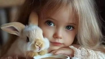 490705335 9253622031431378 6872073627532019155 n e1744533062832