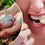 Употребление сырого чеснока каждый день: естественный способ поддержать здоровье сердца и снизить уровень холестерина 13 Употребление сырого чеснока каждый день: естественный способ поддержать здоровье сердца и снизить уровень холестерина