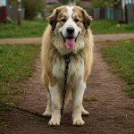 Верный страж 14 Gemini Generated Image 3vztks3vztks3vzt e1746017308286