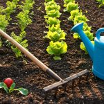 Gemini Generated Image 58jv9r58jv9r58jv 1 e1743934366379