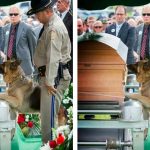 ОН НЕ ОТОШЕЛ ОТ ГРОБА… ПОКА НЕ ПОЧУВСТВОВАЛ ПРАВДУ 15 Pes