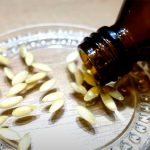 Семена огурцов прорастут за считаные часы! В чём замачивать, чтобы получить крепкую и здоровую рассаду 14 Семена огурцов прорастут за считаные часы! В чём замачивать, чтобы получить крепкую и здоровую рассаду