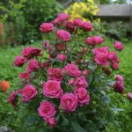 Snimok ekrana 2024 03 14 v 12.31.18