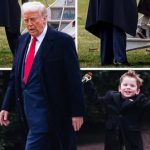 Видео дня: Президент Трамп и сын Илона Маска разделили драгоценный президентский момент 19 Видео дня: Президент Трамп и сын Элона Маска разделили драгоценный президентский момент