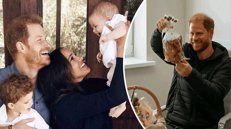 bvdbvjdjvgrnibhsbhcsdcsbcj