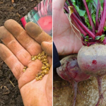 f599c25704aac620f4b0e8ce26405bce