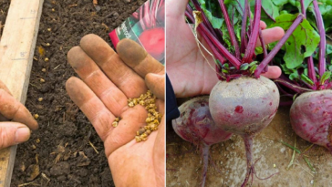 f599c25704aac620f4b0e8ce26405bce